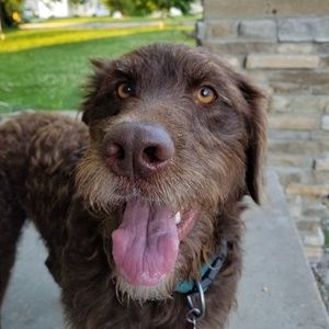 Meet your Posher, Deborah